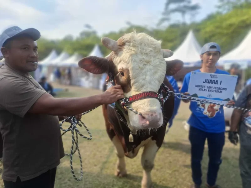 Si Damkar Juara 1 (Foto: Istimewa)