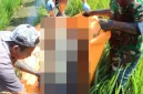 Polisi dibantu warga mengevakuasi korban yang ditemukan meminggal dunia di pematang sawah Kampung Maleer, DEsa Sukasenang, Kecamatan Banyuresmi, Kabupaten Garut, Senin (21/7/2025)(Foto: Istimewa)