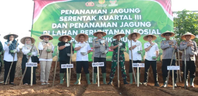 Foto: Istimewa